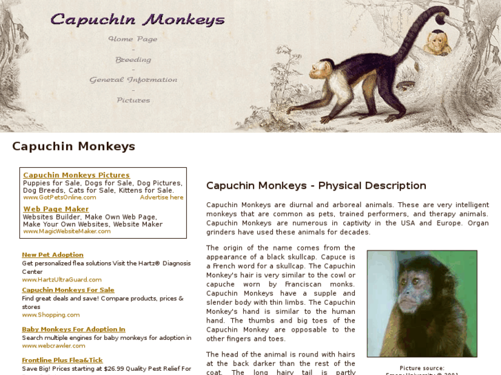 www.capuchin-monkeys.com