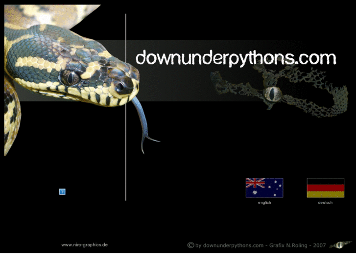 www.downunderpythons.com