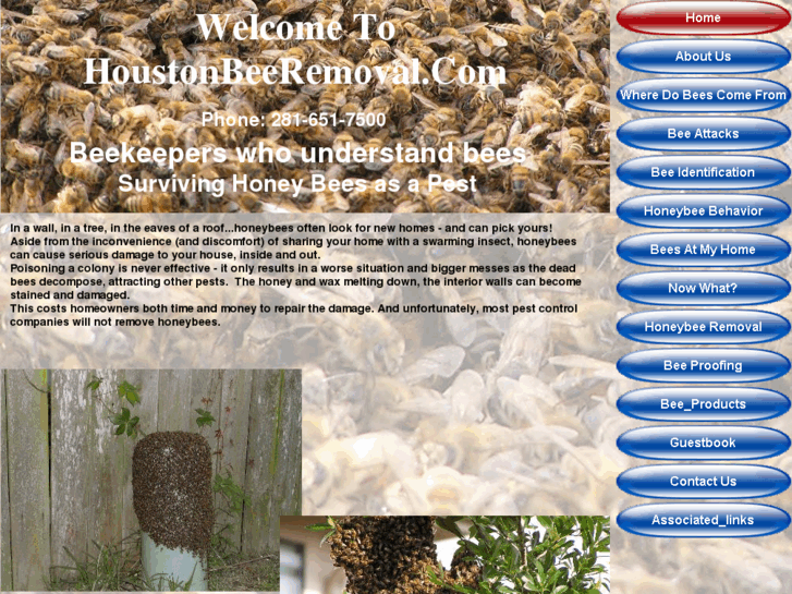 www.houstonbeeremoval.com