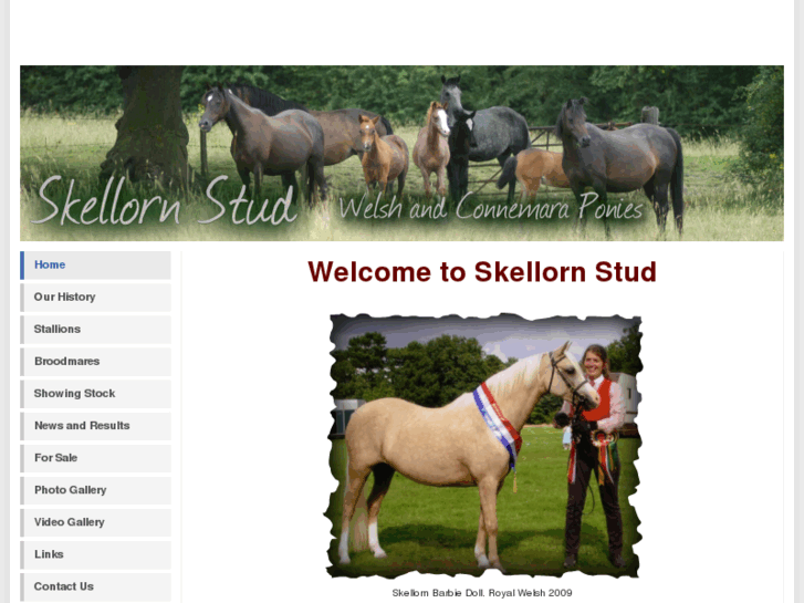 www.skellornstud.net