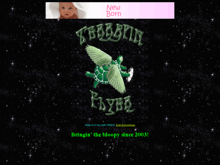 www.terrapinflyer.com