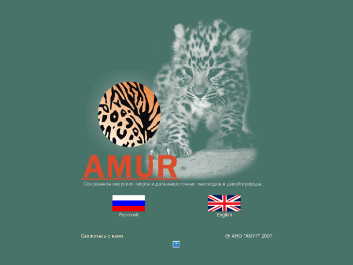 www.amur-rus.ru