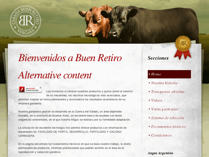 www.buenretirovergara.com