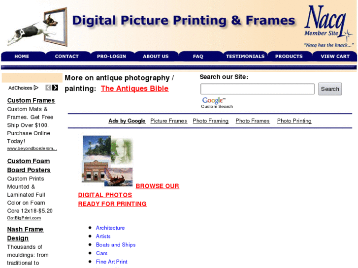 www.digital-picture-printing-frames.com