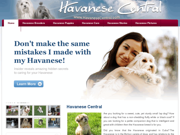 www.havanesecentral.com