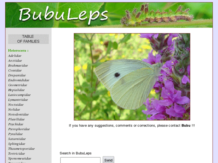 www.bubuleps.com