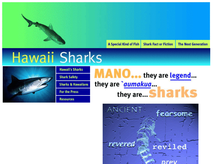 www.hawaiisharks.com