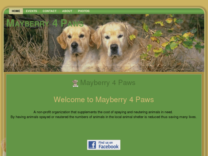 www.mayberry4paws.com