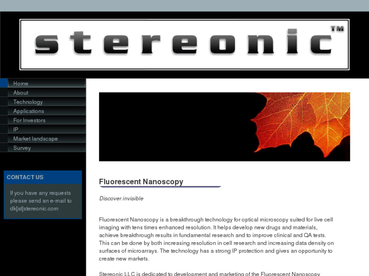 www.stereonic.com