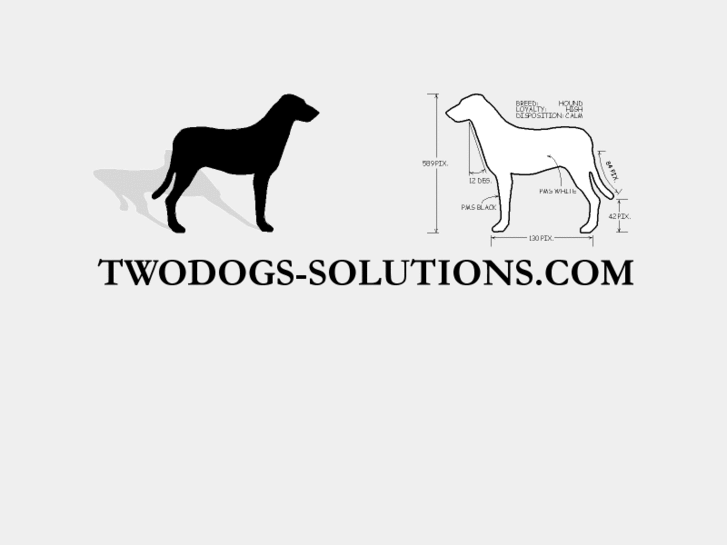 www.twodogs-solutions.com