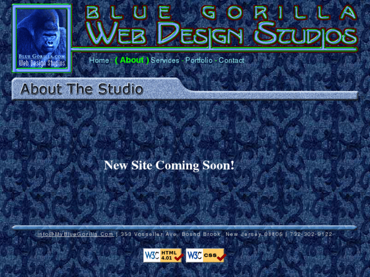 www.bluegorillastudios.com