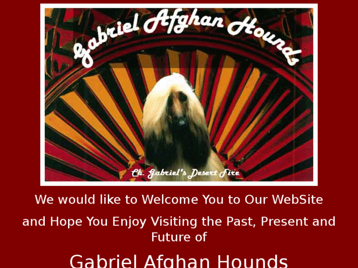 www.gabrielafghanhounds.com