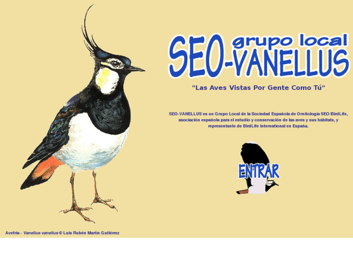 www.seovanellus.org