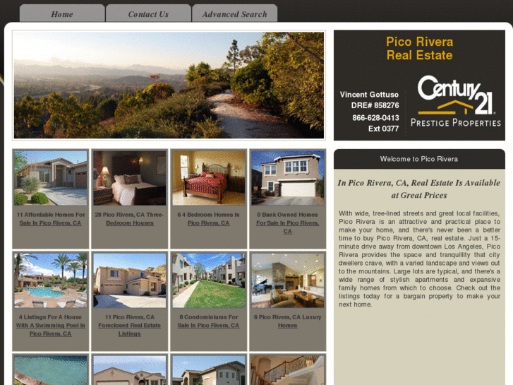 www.viewpicoriverarealestate.com