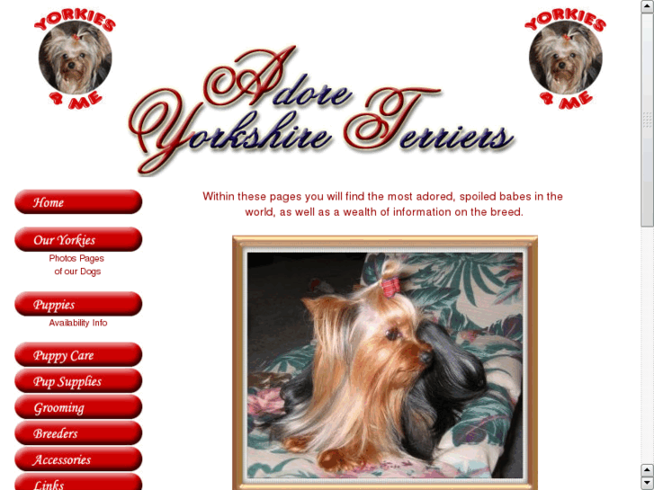 www.adoreyorkshireterriers.com