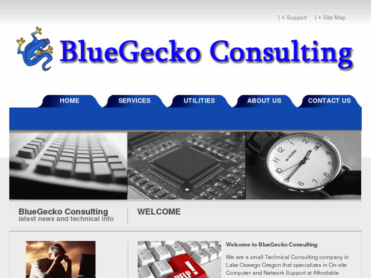 www.bluegeckoconsulting.com