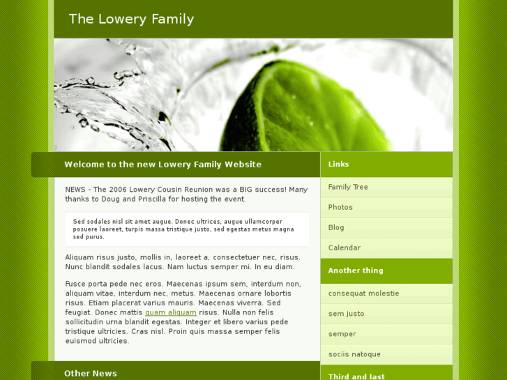 www.lowery-family.com