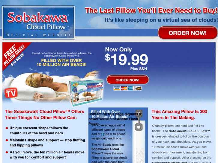 www.theairbeadpillow.com