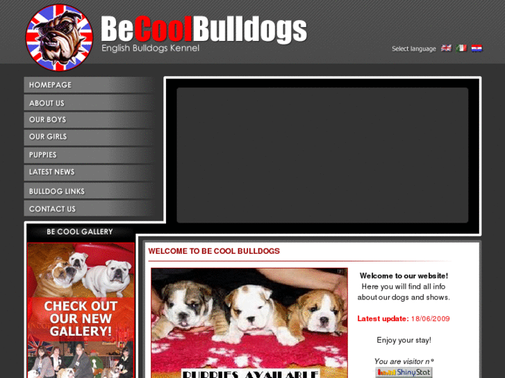 www.becoolbulldogs.com