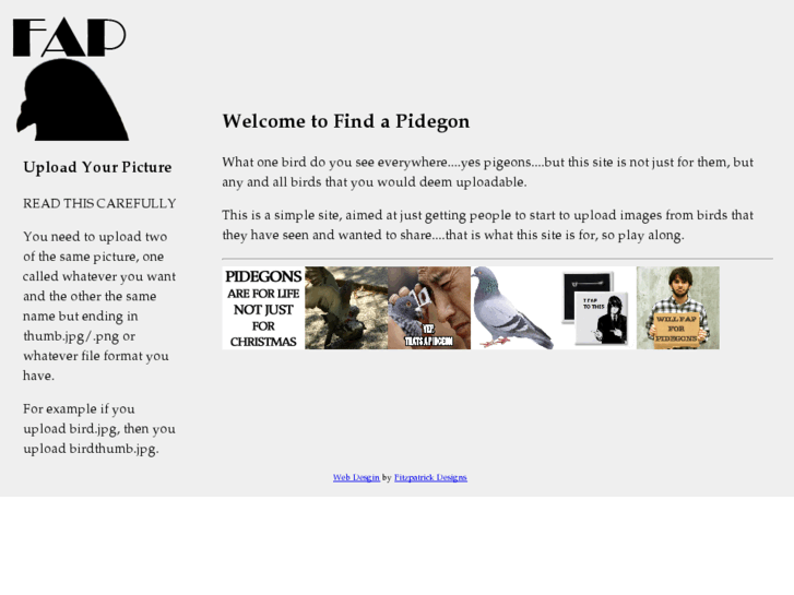 www.findapigeon.com