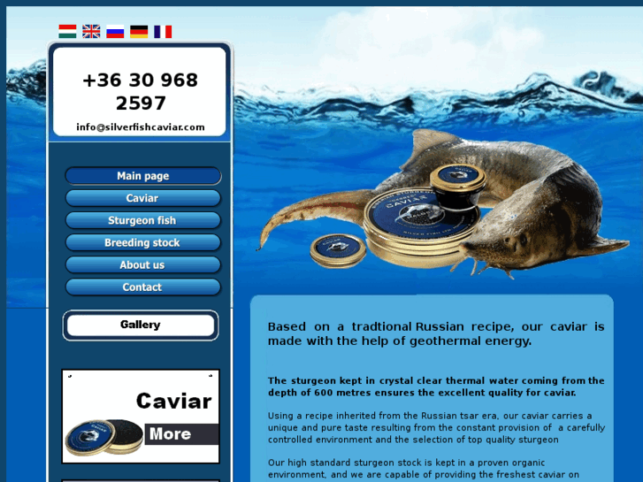 www.silverfishcaviar.com