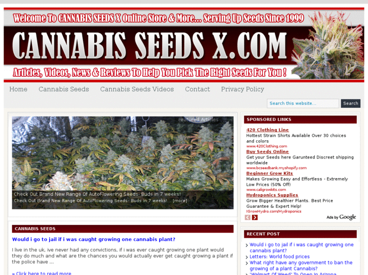 www.cannabisseedsx.com