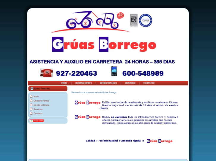 www.gruasborrego.es