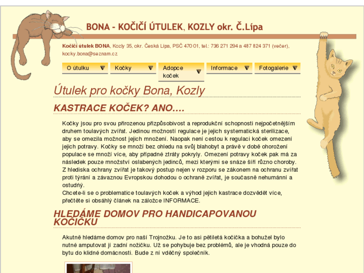 www.kocky-bona.net