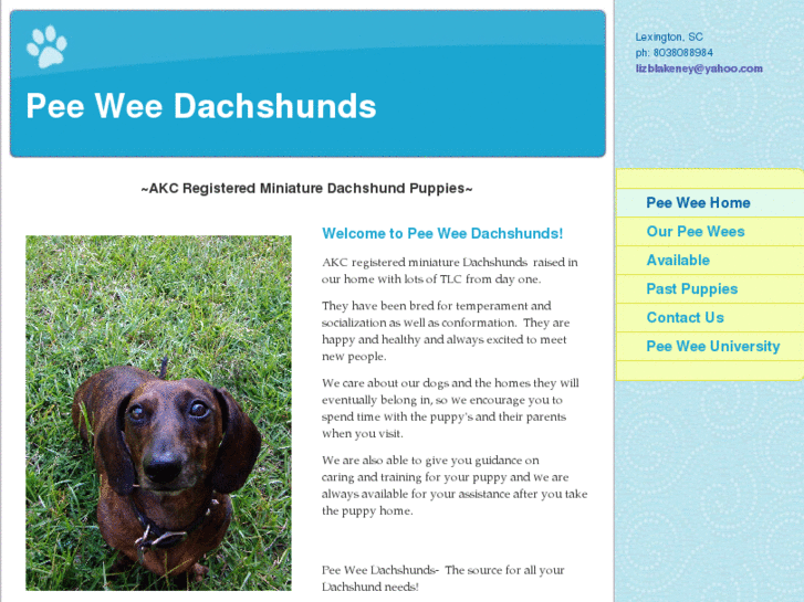 www.peeweedachshunds.com