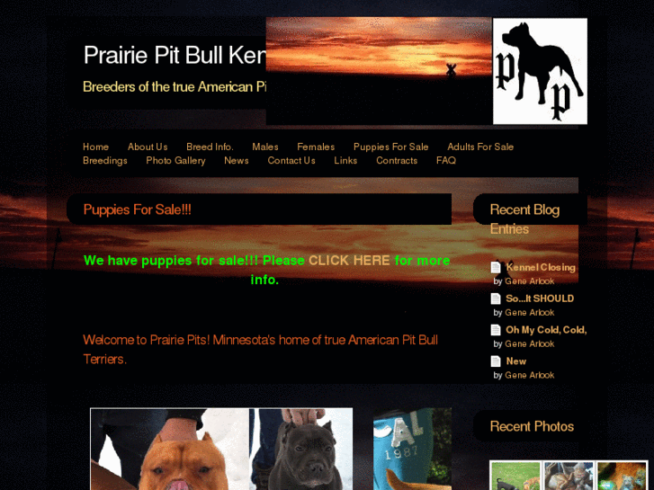 www.prairiepitbulls.com