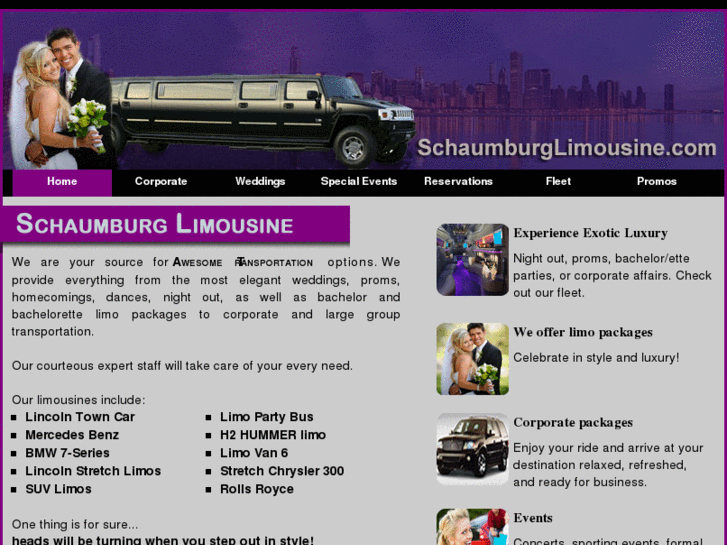 www.schaumburglimousine.com