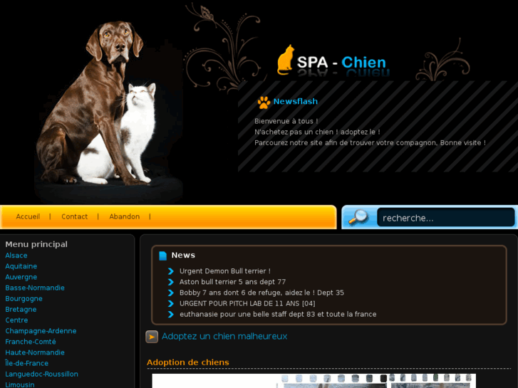 www.spa-chien.com