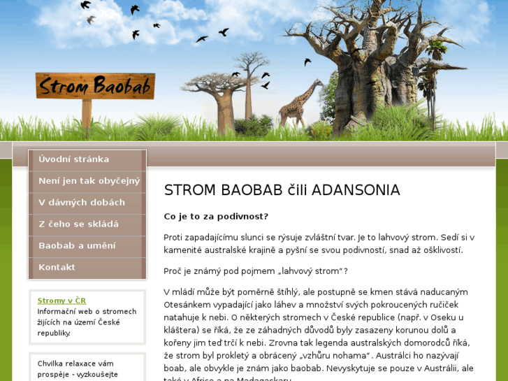 www.strom-baobab.cz