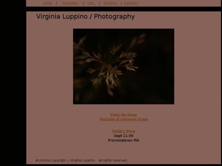 www.vluppinophoto.com