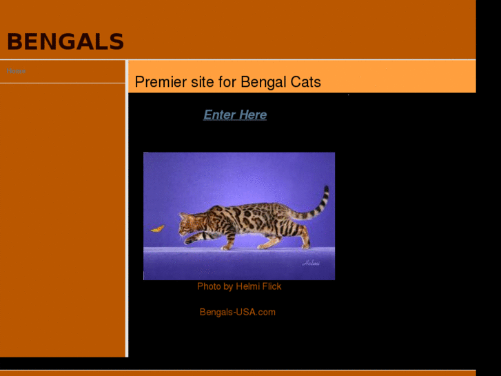 www.bengals-usa.com