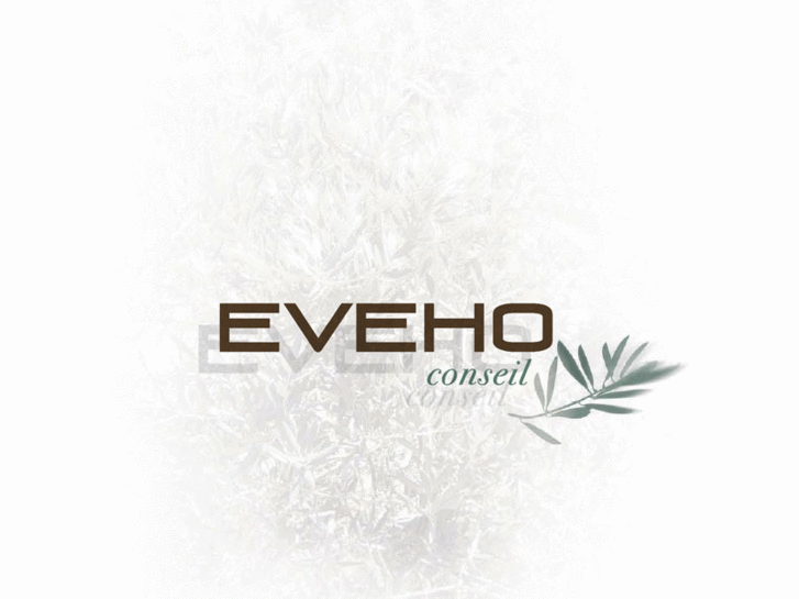 www.eveho-conseil.com