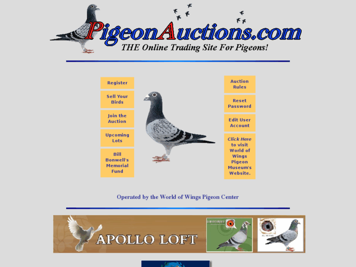 www.pigeonauction.com