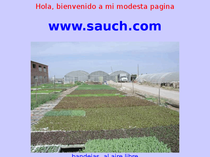 www.sauch.com