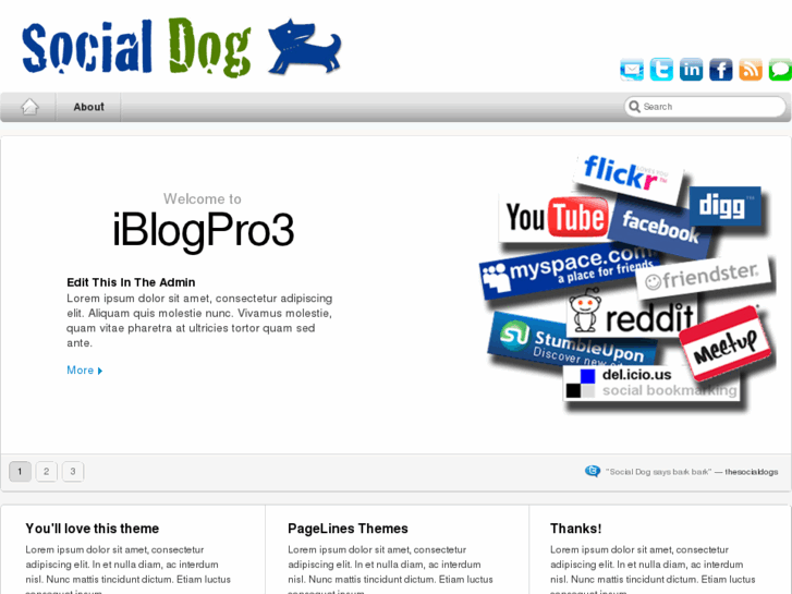 www.social-dog.com