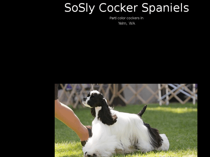 www.soslycockers.com