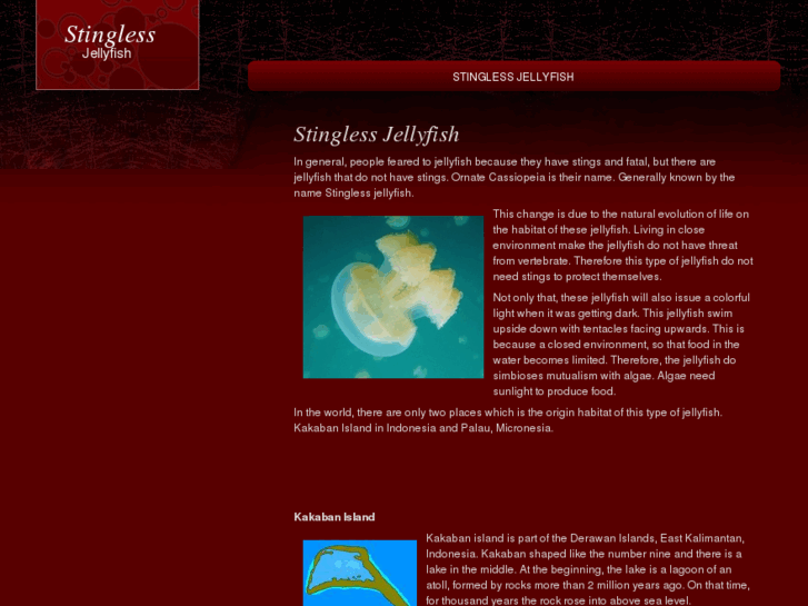 www.stinglessjellyfish.com