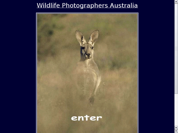 www.wildlifephotographersaustralia.com