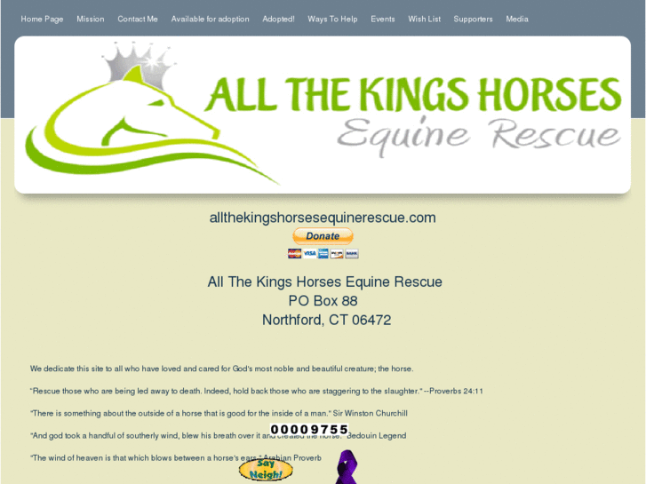 www.allthekingshorsesequinerescue.com