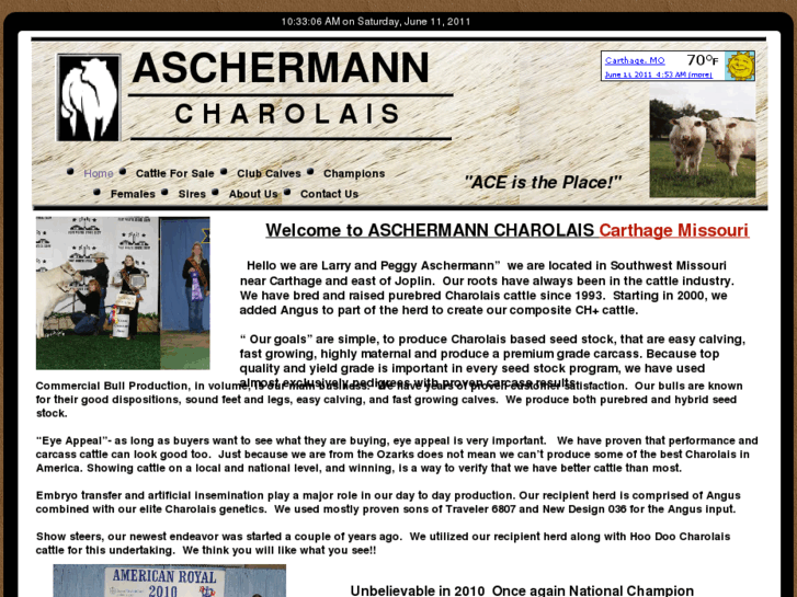 www.aschermanncharolais.com