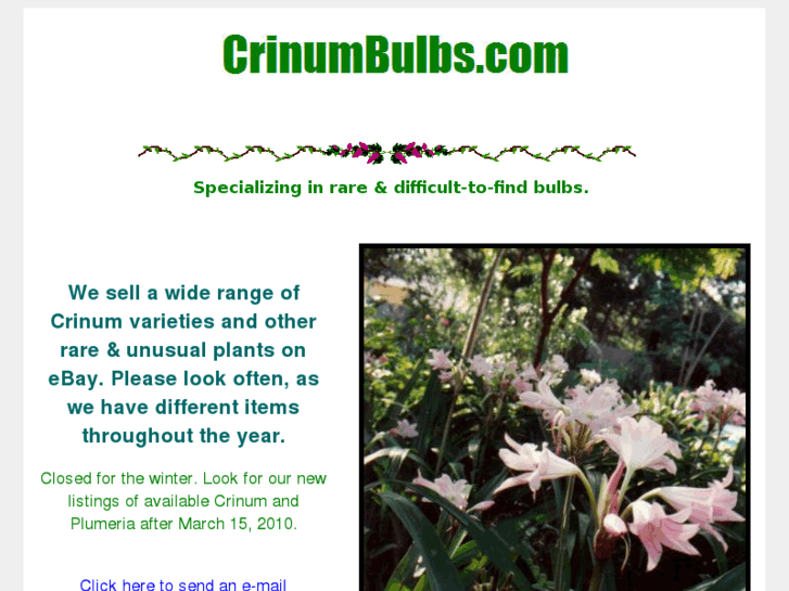 www.crinumbulbs.com