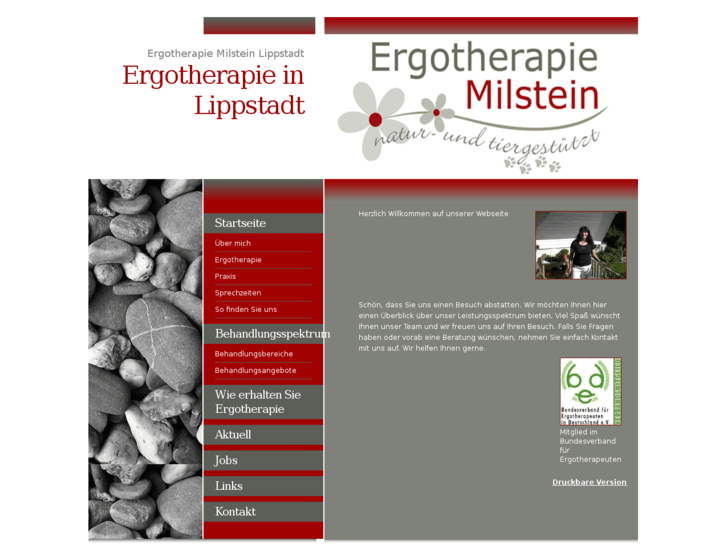 www.ergotherapie-lippstadt.com