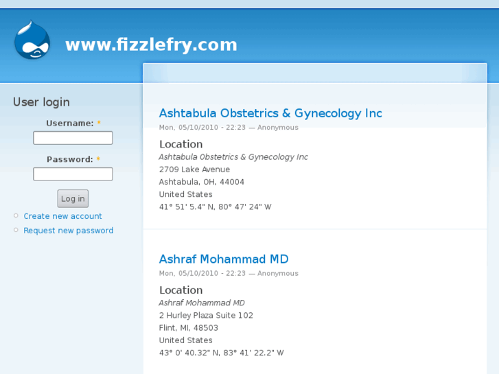 www.fizzlefry.com