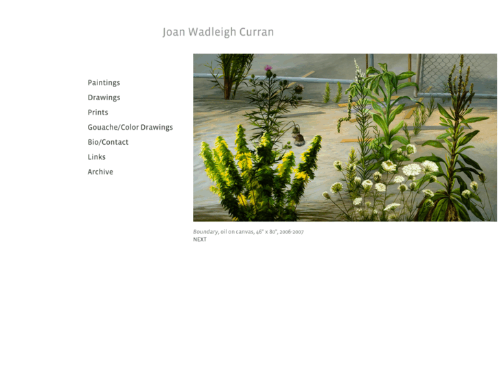 www.joanwadleighcurran.com