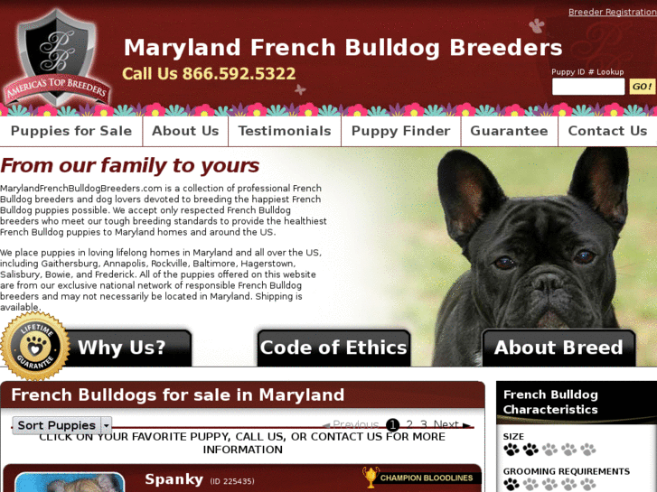 www.marylandfrenchbulldogbreeders.com