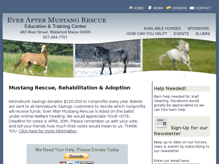 www.mustangrescue.org